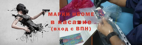 прущие грибы Покачи
