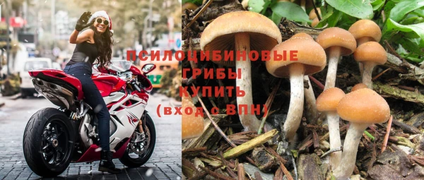 гидропоника Абинск