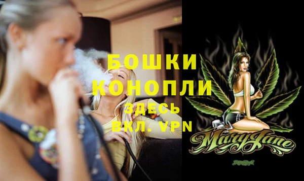 прущие грибы Покачи