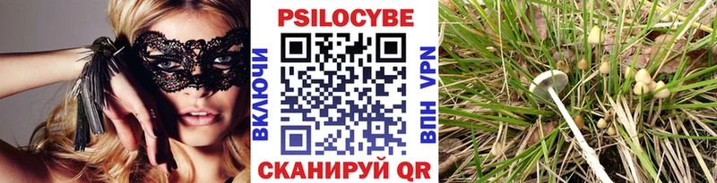 Галлюциногенные грибы Psilocybine cubensis  Дальнереченск 